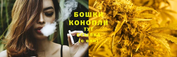 apvp Заводоуковск